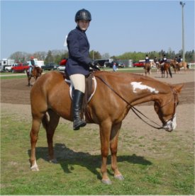 4 Year Old 14 Hand American Paint Pony