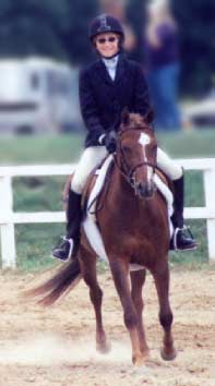 Small Pony Hunter Mare - A Joy to Ride and Show!