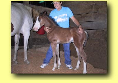 Karen Holding Rocky