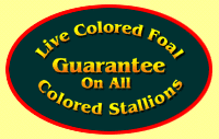 Live Colored Foal Guarantee