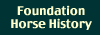 Foundation Quarter Horse - Foundation Paint Horse Stories