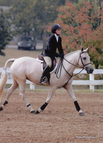 Palomino Mare Trotting
