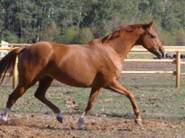 She is a Beautiful Mover!