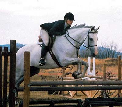 Elegant Thoroughbred Mare