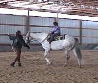 You Could Not Ask For More From Any Horse!