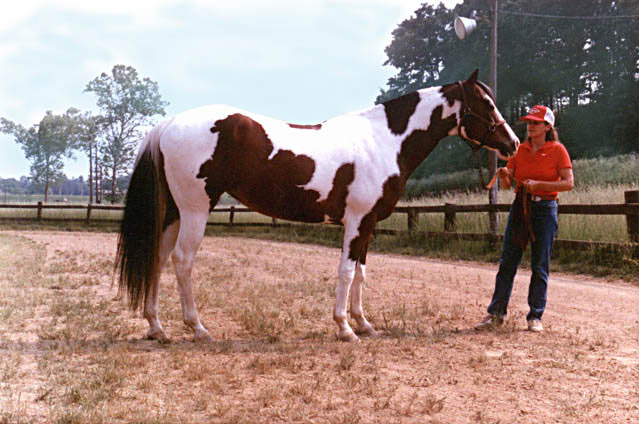 Win My Heart and Karen Griffith